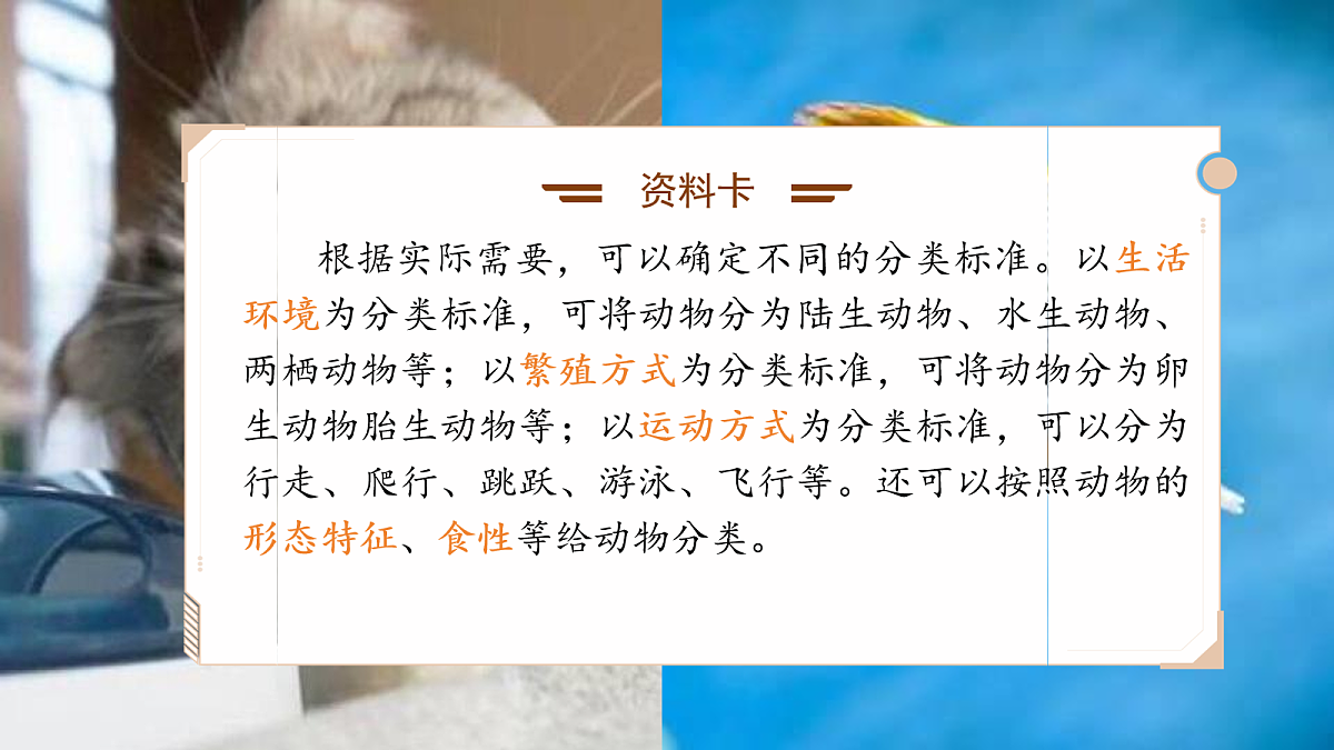 18076950第6页