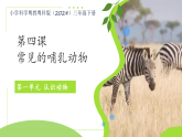 第一单元第4课 常见的哺乳动物  课件 小学科学粤教粤科版（2024）三年级下册课件