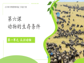 第一单元第6课 动物的生存条件 课件 小学科学粤教粤科版（2024）三年级下册课件