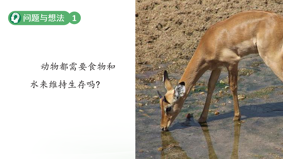 18076954第3页