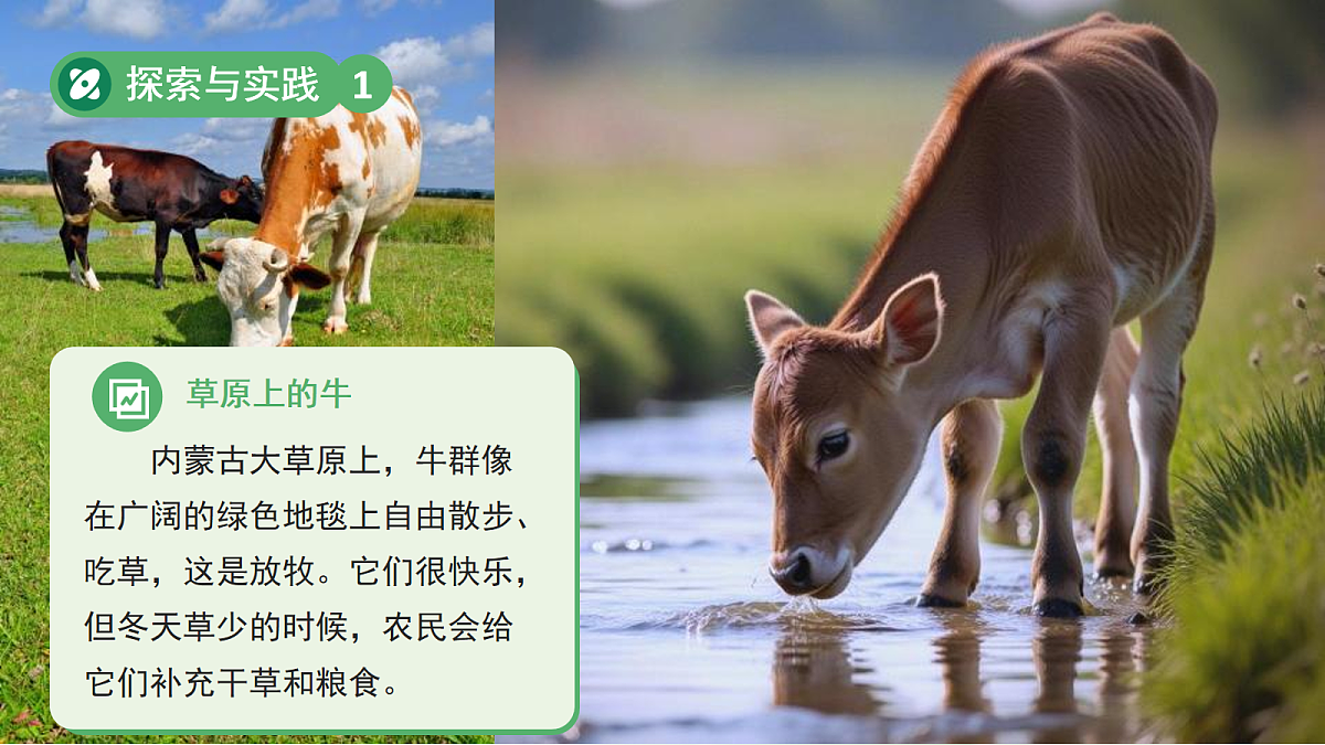 18076954第6页