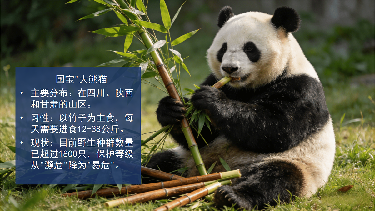 18076955第4页