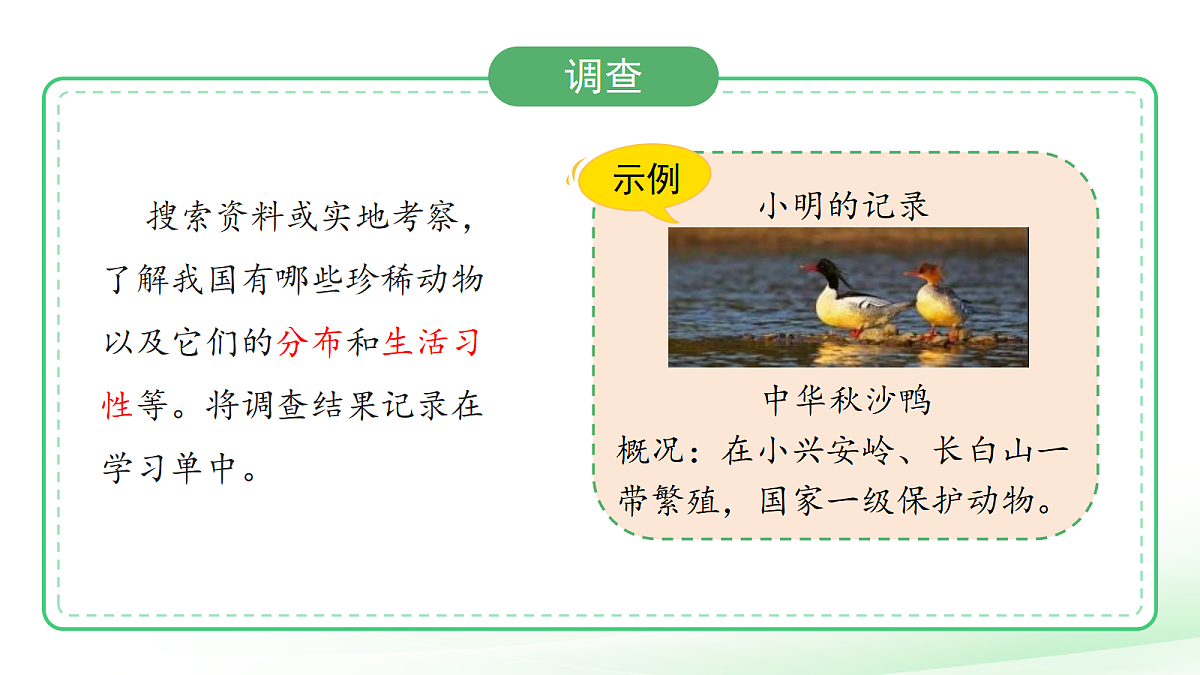 18076955第7页