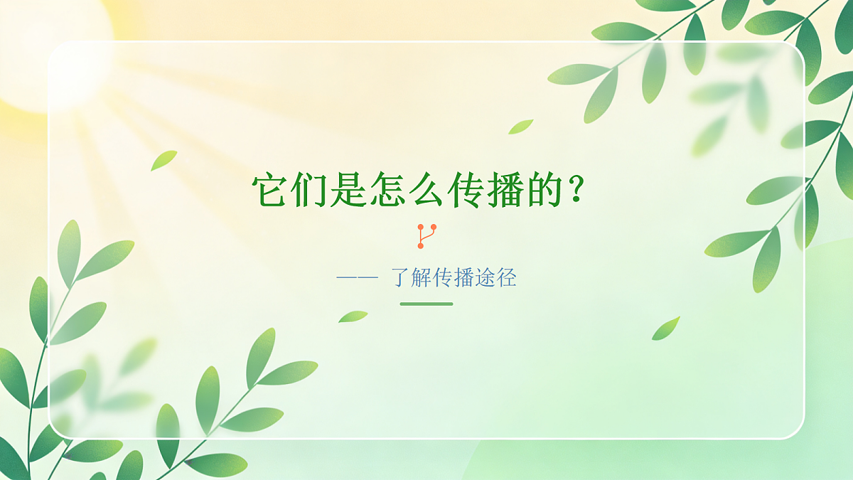 18077466第6页