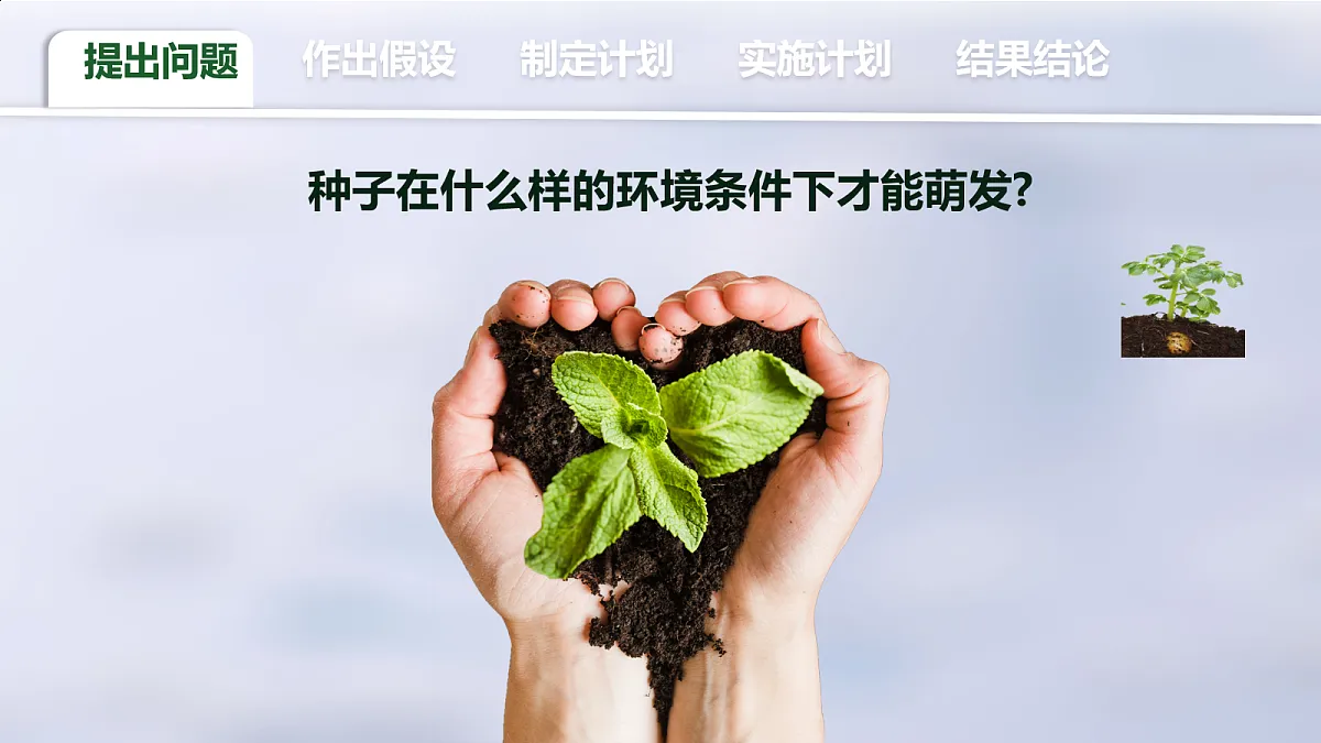 18077888第3页