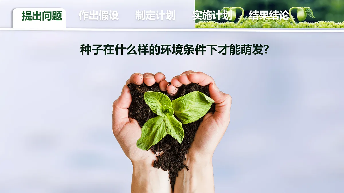 18077888第4页