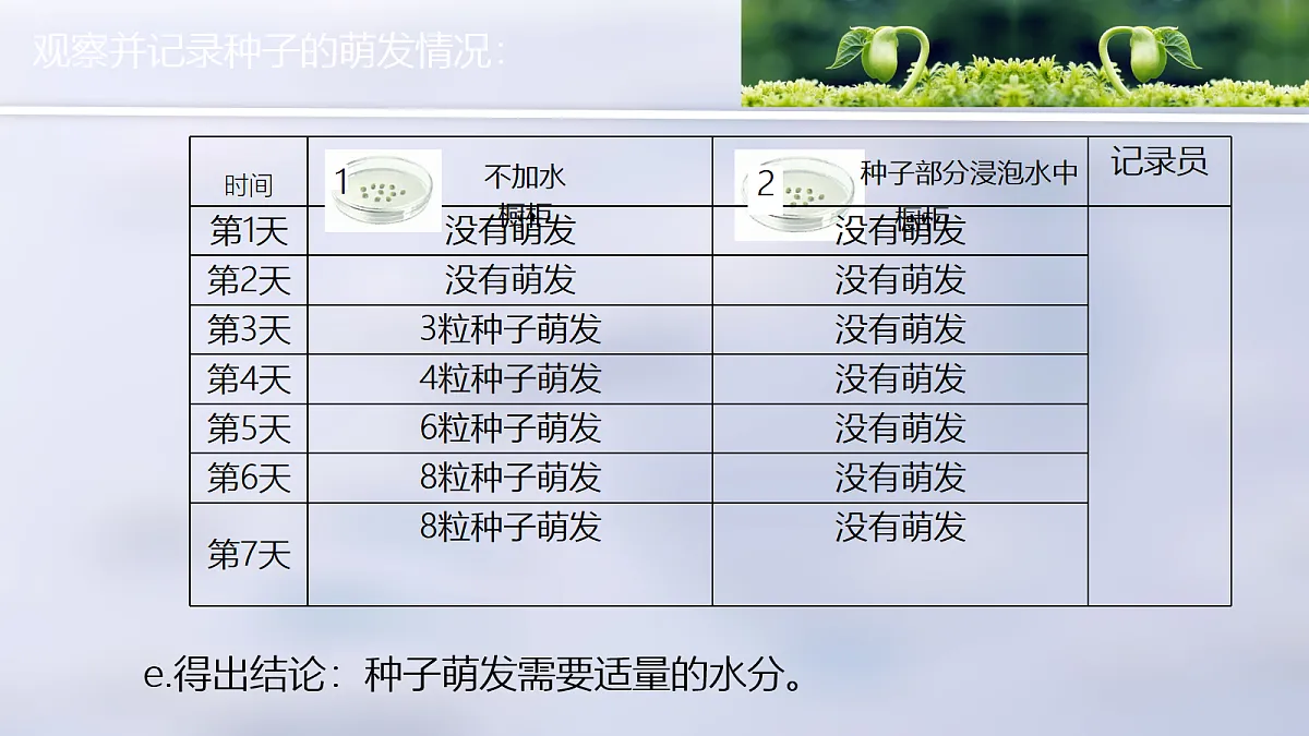 18077888第8页