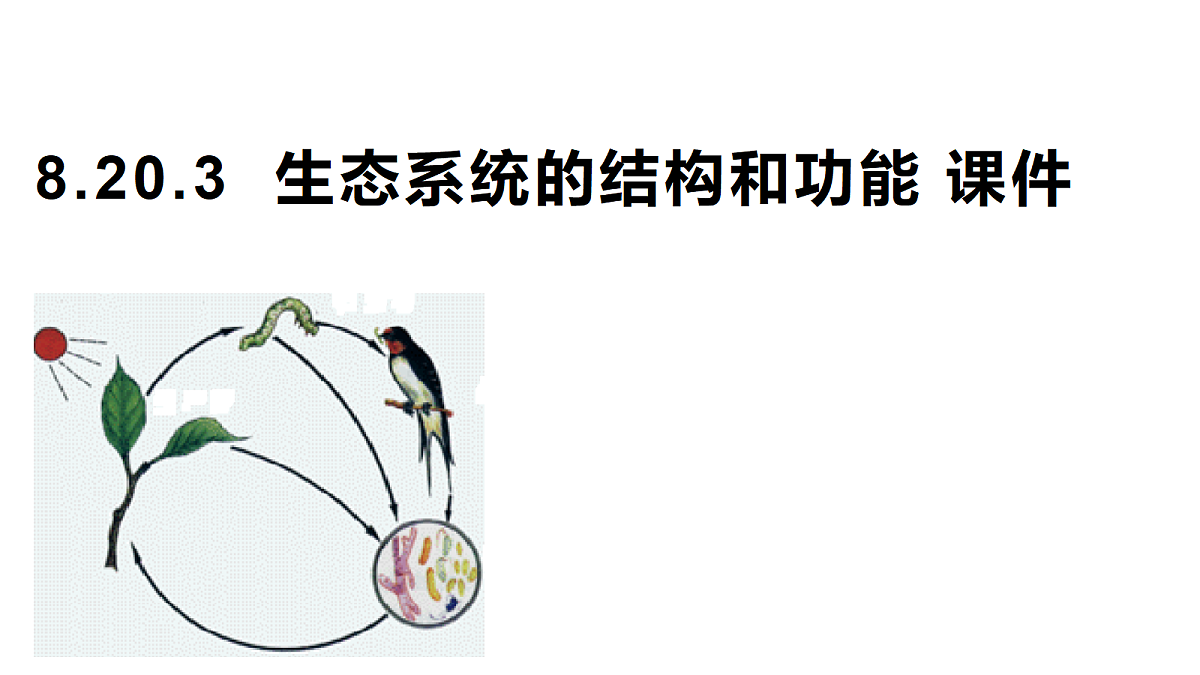 18078029第1页