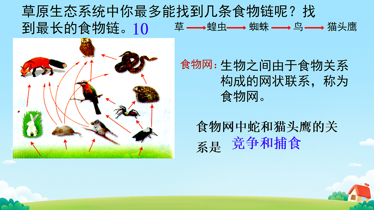 18078029第7页