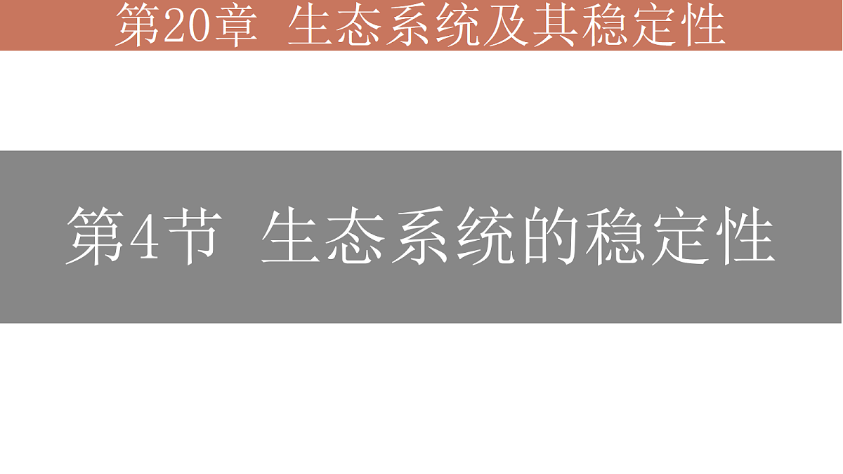 18078031第1页