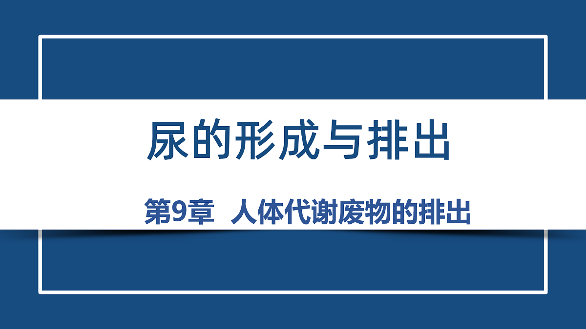 18078114第3页