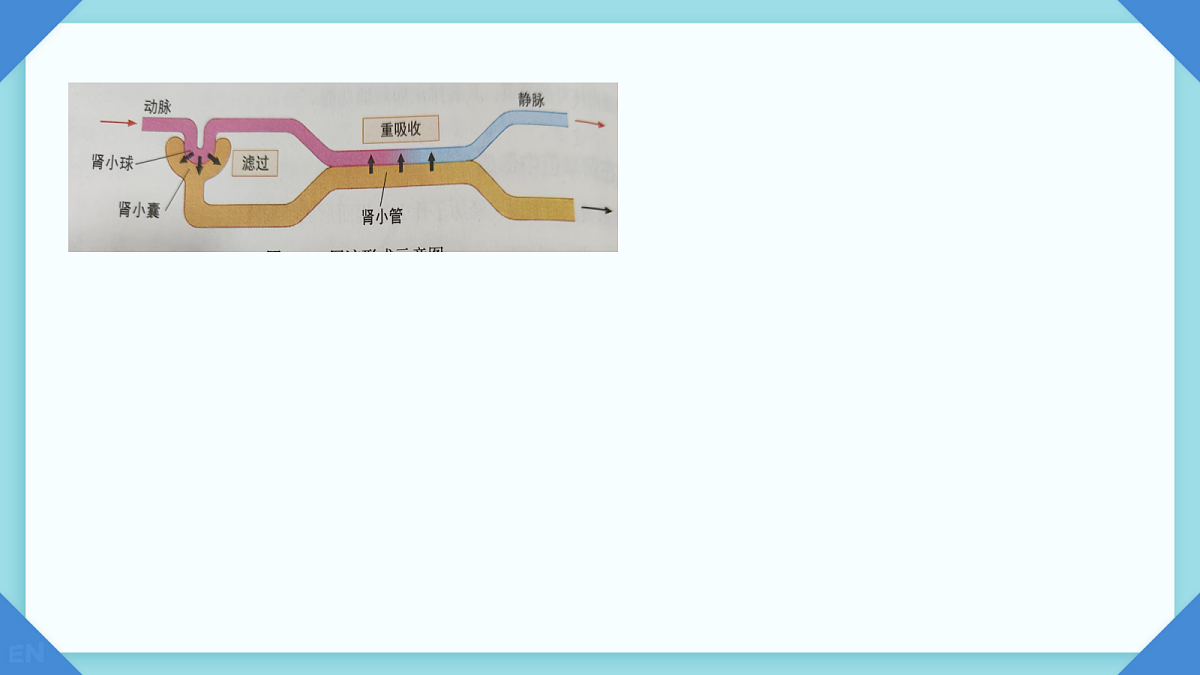 18078115第5页