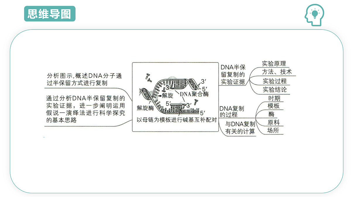 18078216第3页