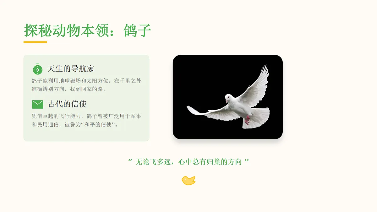 18078329第7页