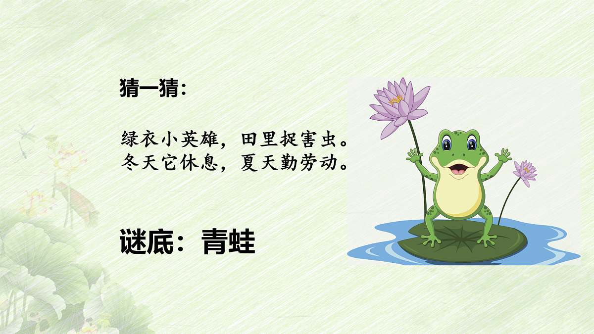18078660第3页