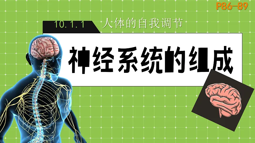 18079704第1页