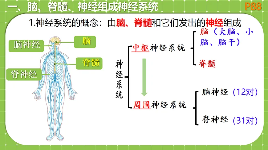 18079704第5页
