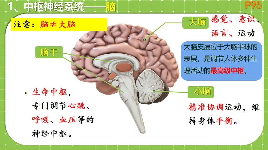 18079704第7页