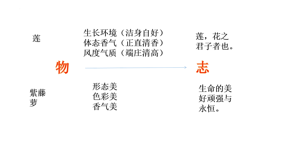 18079938第3页