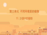 3.11 沙漠里的植物 课件（内嵌视频）-2025-2026学年科学三年级下册苏教版