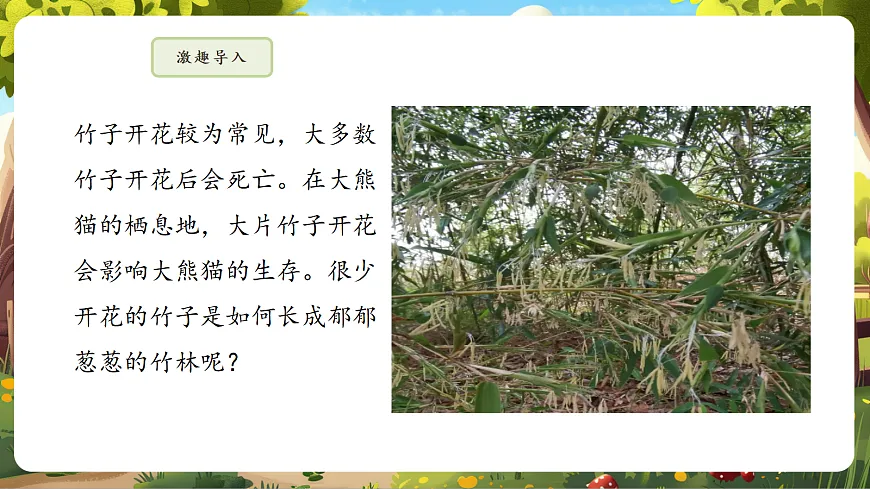 6.1.1 无性生殖 课件第5页