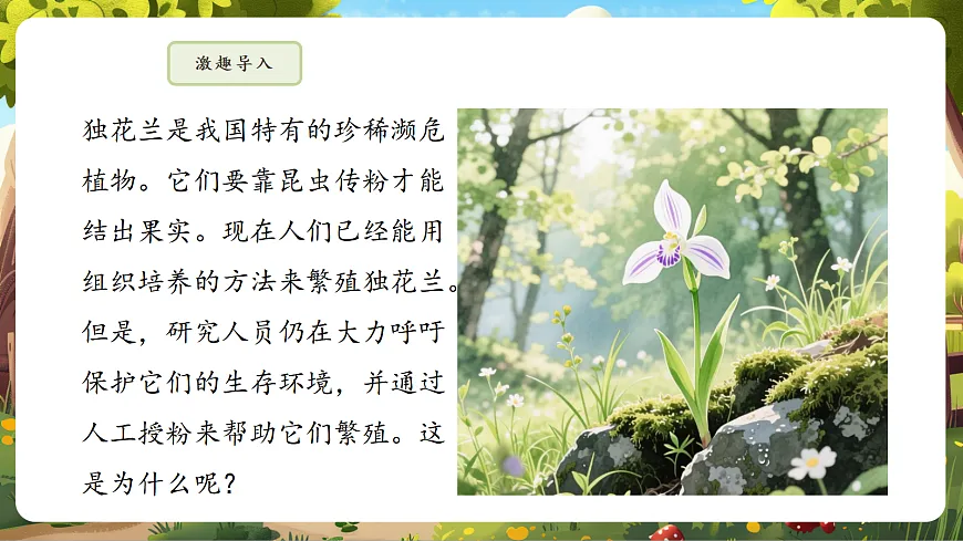 6.1.2 有性生殖 课件第5页