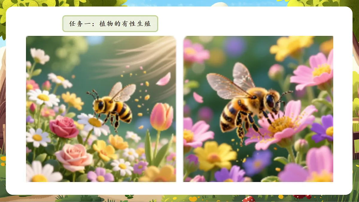 6.1.2 有性生殖 课件第7页