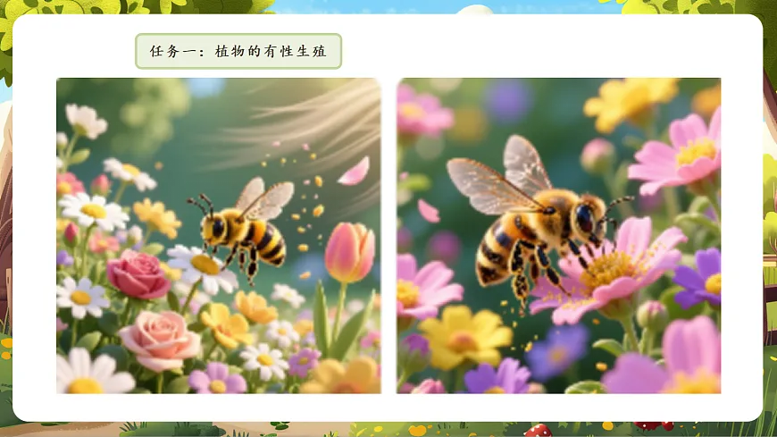 6.1.2 有性生殖 课件第7页