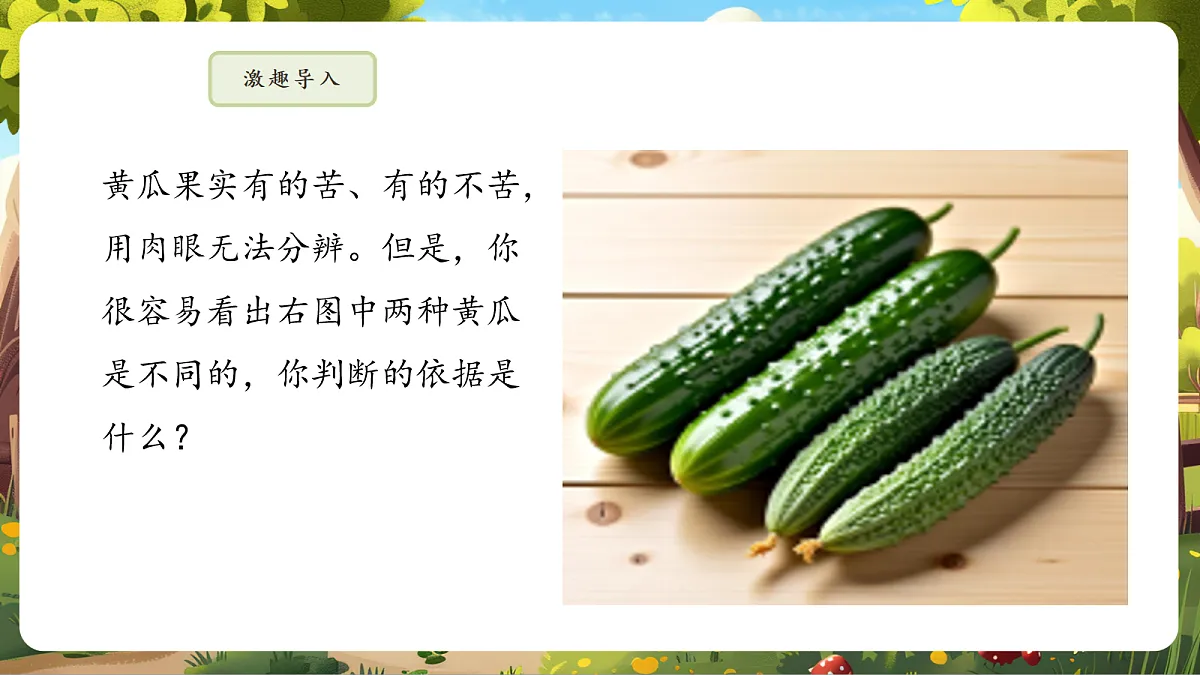 6.2.1 基因与生物性状的关系 课件第5页