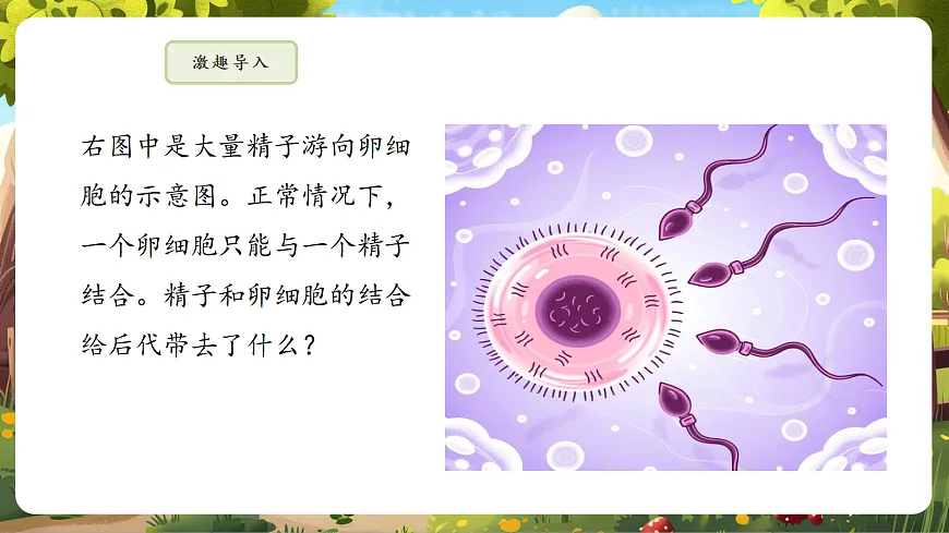 6.2.2 基因在亲子代间的传递 课件第5页