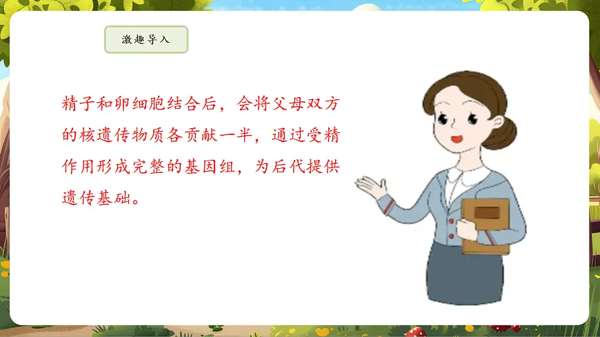 6.2.2 基因在亲子代间的传递 课件第6页