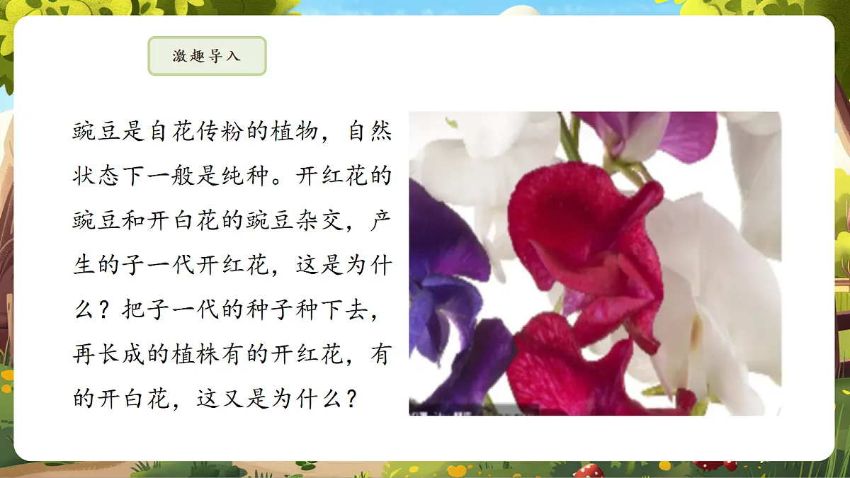 6.2.3 基因的显性和隐性 课件第5页
