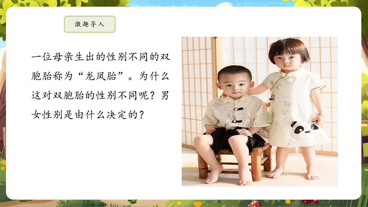 6.2.4 人的性别决定 课件第5页