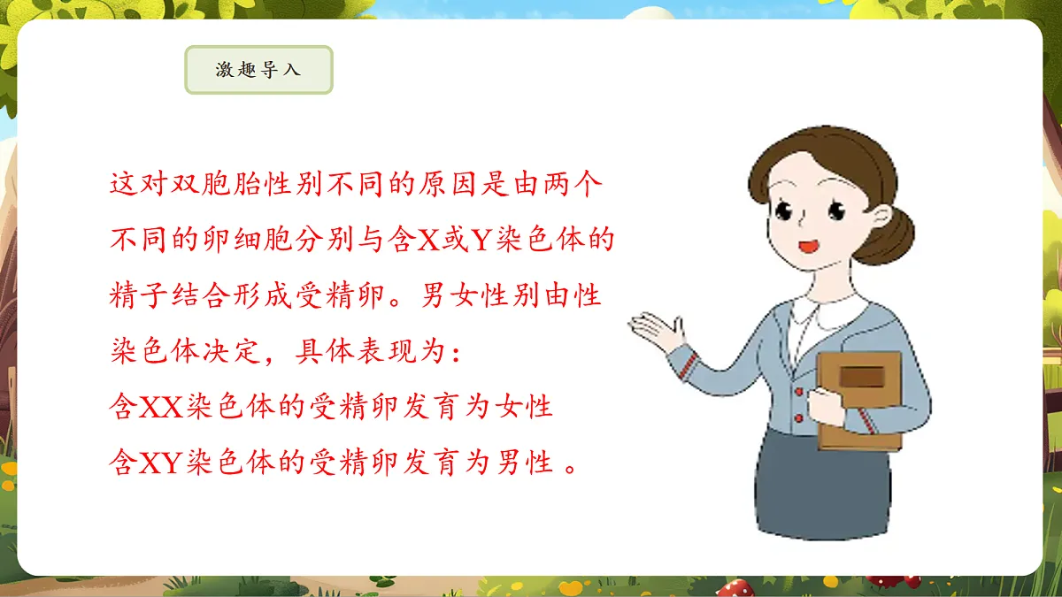 6.2.4 人的性别决定 课件第6页