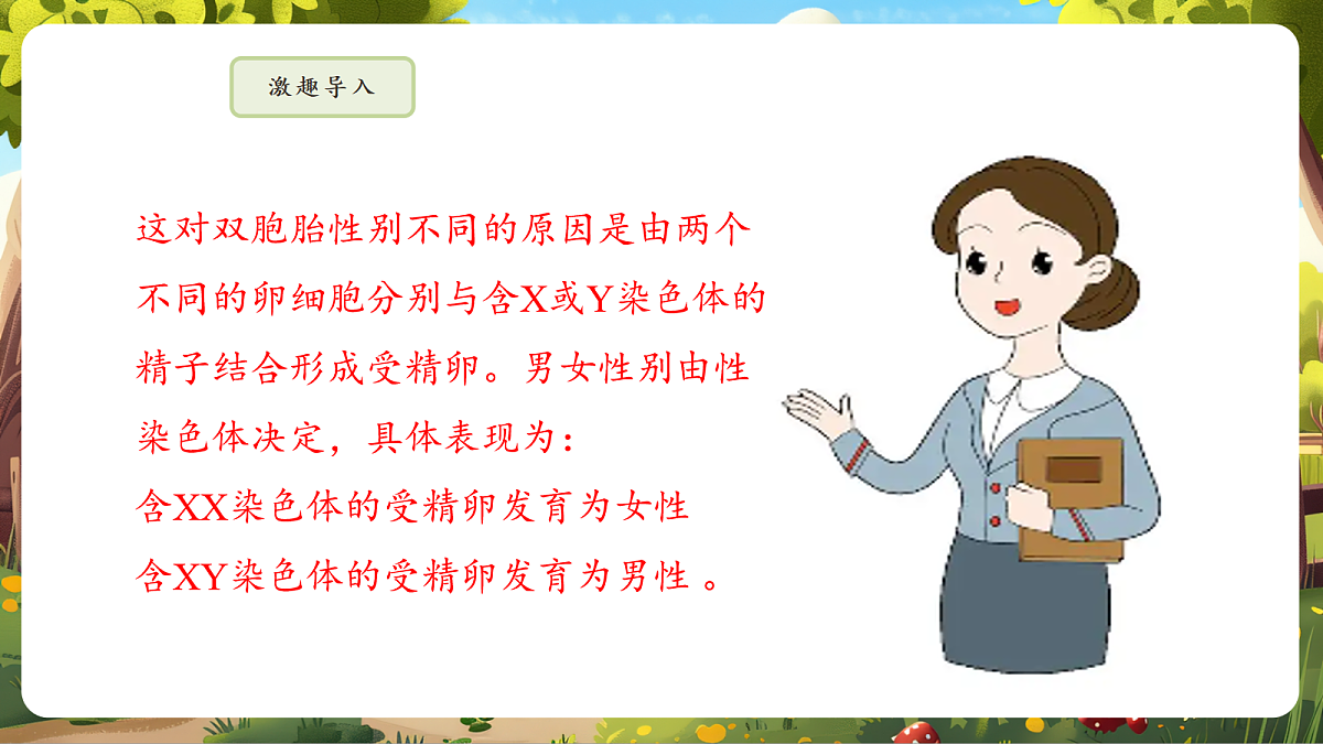 6.2.4 人的性别决定 课件第6页