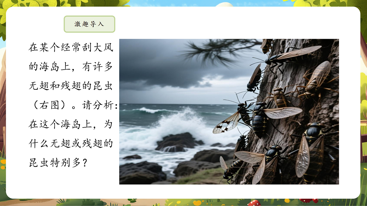 6.3.3 生物进化的原因 课件第5页