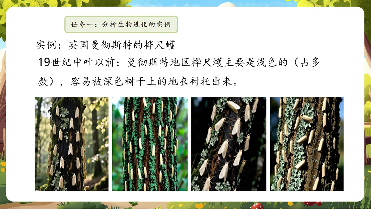 6.3.3 生物进化的原因 课件第8页