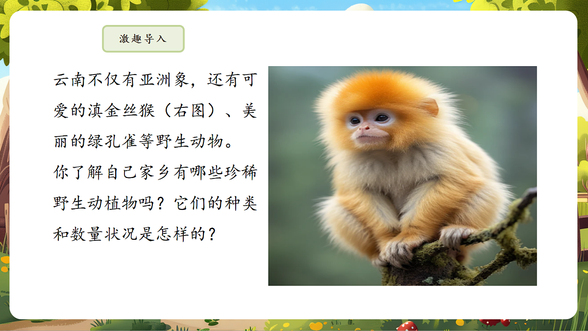 6.4.1 进化与生物多样性 课件第5页