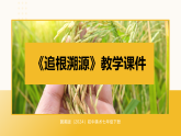 第7单元第1课《追根溯源》教学课件-2025-2026学年冀美版（2024）初中美术七年级下册