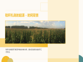 第7单元第1课《追根溯源》教学课件-2025-2026学年冀美版（2024）初中美术七年级下册