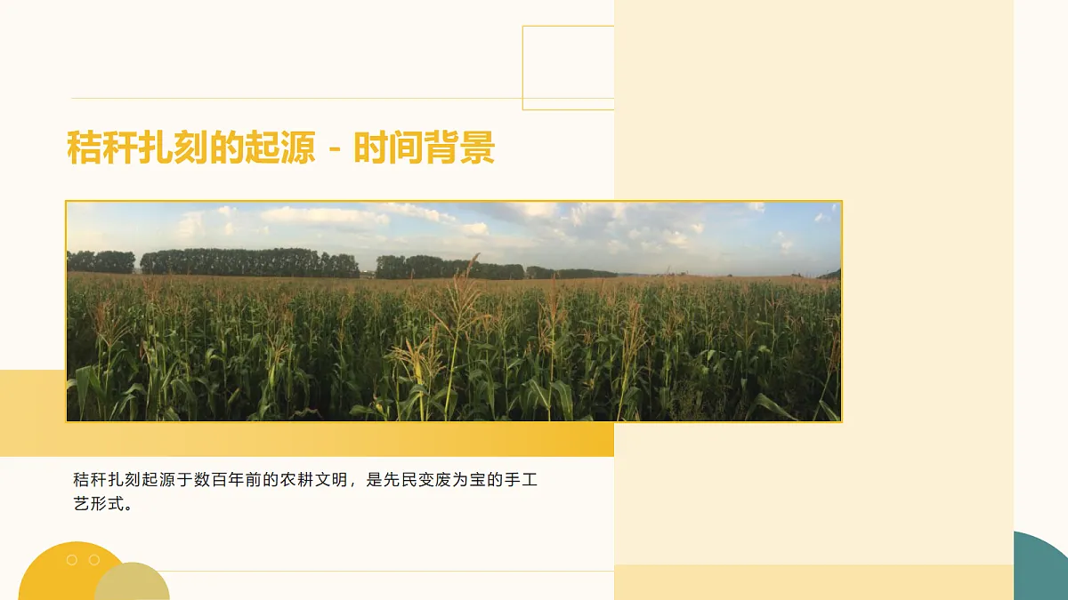 18082564第3页
