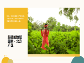 第7单元第1课《追根溯源》教学课件-2025-2026学年冀美版（2024）初中美术七年级下册