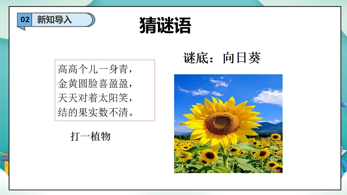第6课《爱护动植物》（第一课时）PPT教学课件-【新教材】（统编版）二年级下册道德与法治第4页