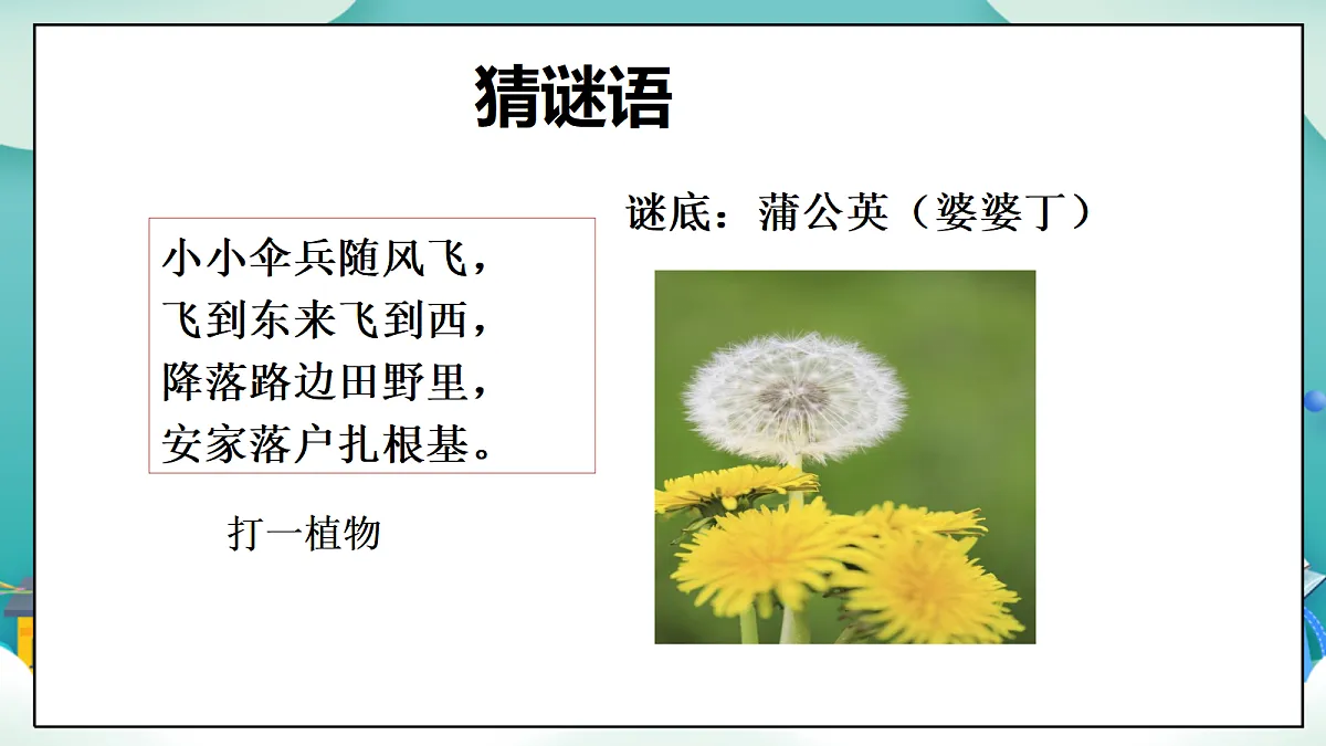第6课《爱护动植物》（第一课时）PPT教学课件-【新教材】（统编版）二年级下册道德与法治第5页