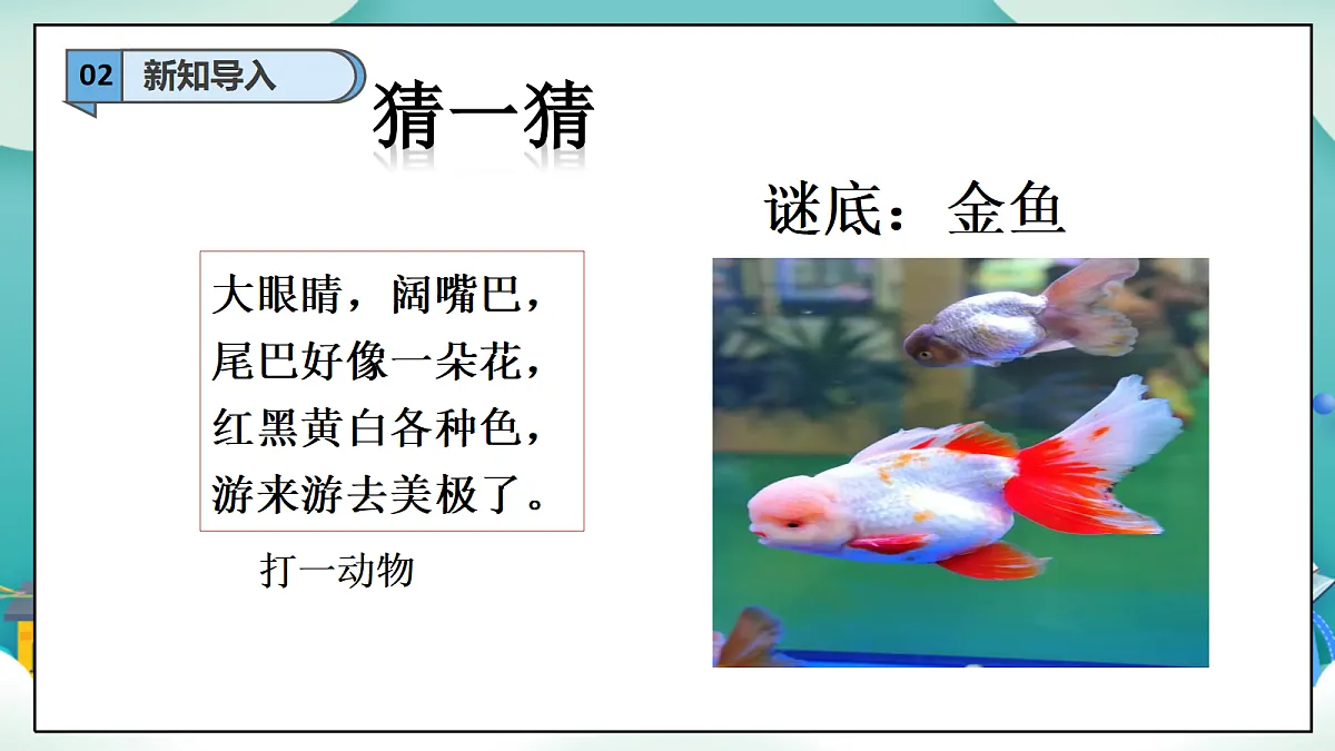 第6课《爱护动植物》（第二课时）PPT教学课件-【新教材】（统编版）二年级下册道德与法治第4页