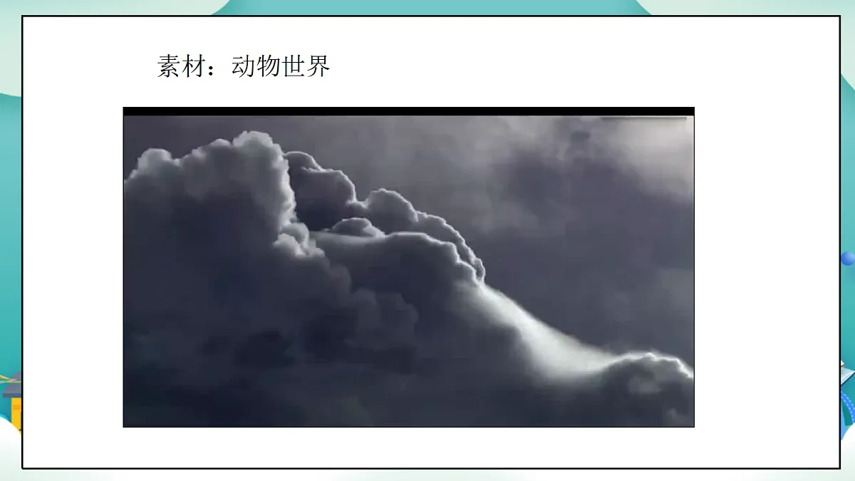 第6课《爱护动植物》（第二课时）PPT教学课件-【新教材】（统编版）二年级下册道德与法治第7页