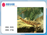 4天气的影响（课件）科学二年级下册（冀人2024）