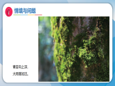 4天气的影响（课件）科学二年级下册（冀人2024）