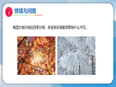 5冬去春来（课件）科学二年级下册（冀人2024）