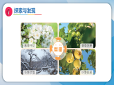 6水暖鸭先知（课件）科学二年级下册（冀人2024）